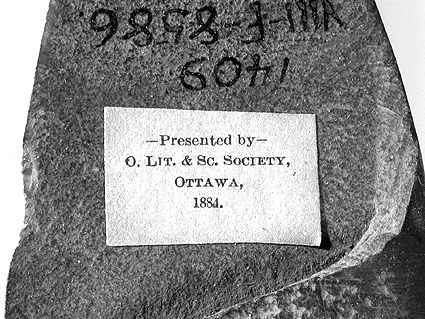 Artefact Label - 1884; photo: Jean-Luc Pilon